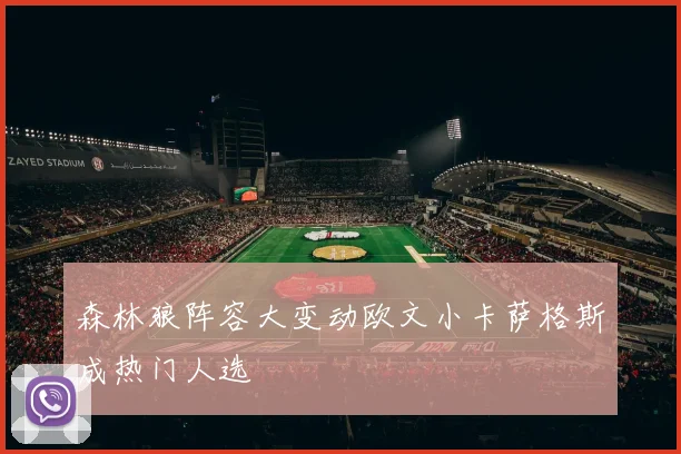 森林狼阵容大变动欧文小卡萨格斯成热门人选
